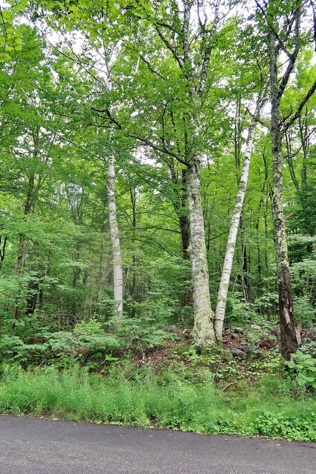 Tbd Easton Road Sugar Hill NH 03586