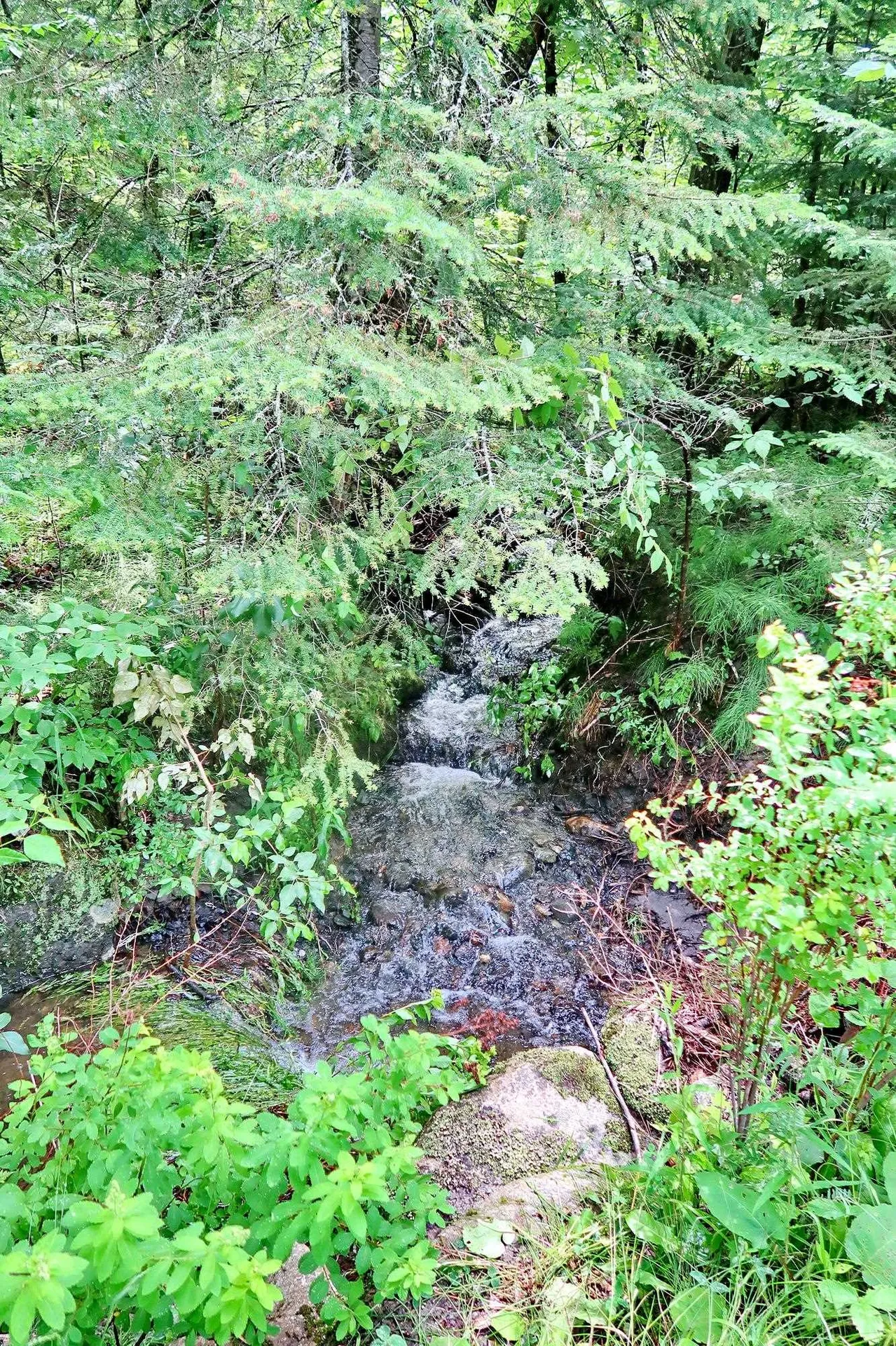 Tbd Easton Road Sugar Hill NH 03586