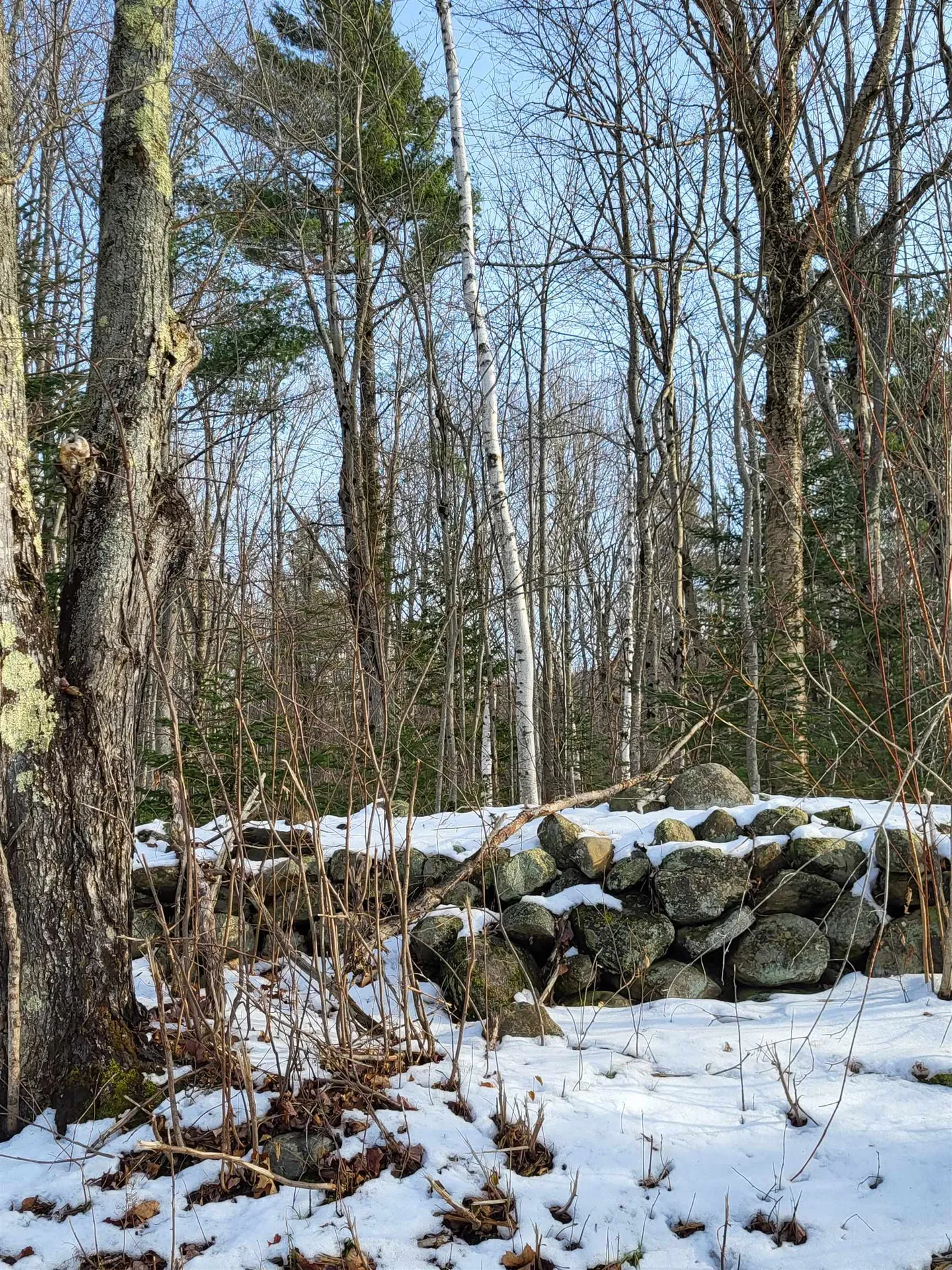 Tbd Easton Road Sugar Hill NH 03586