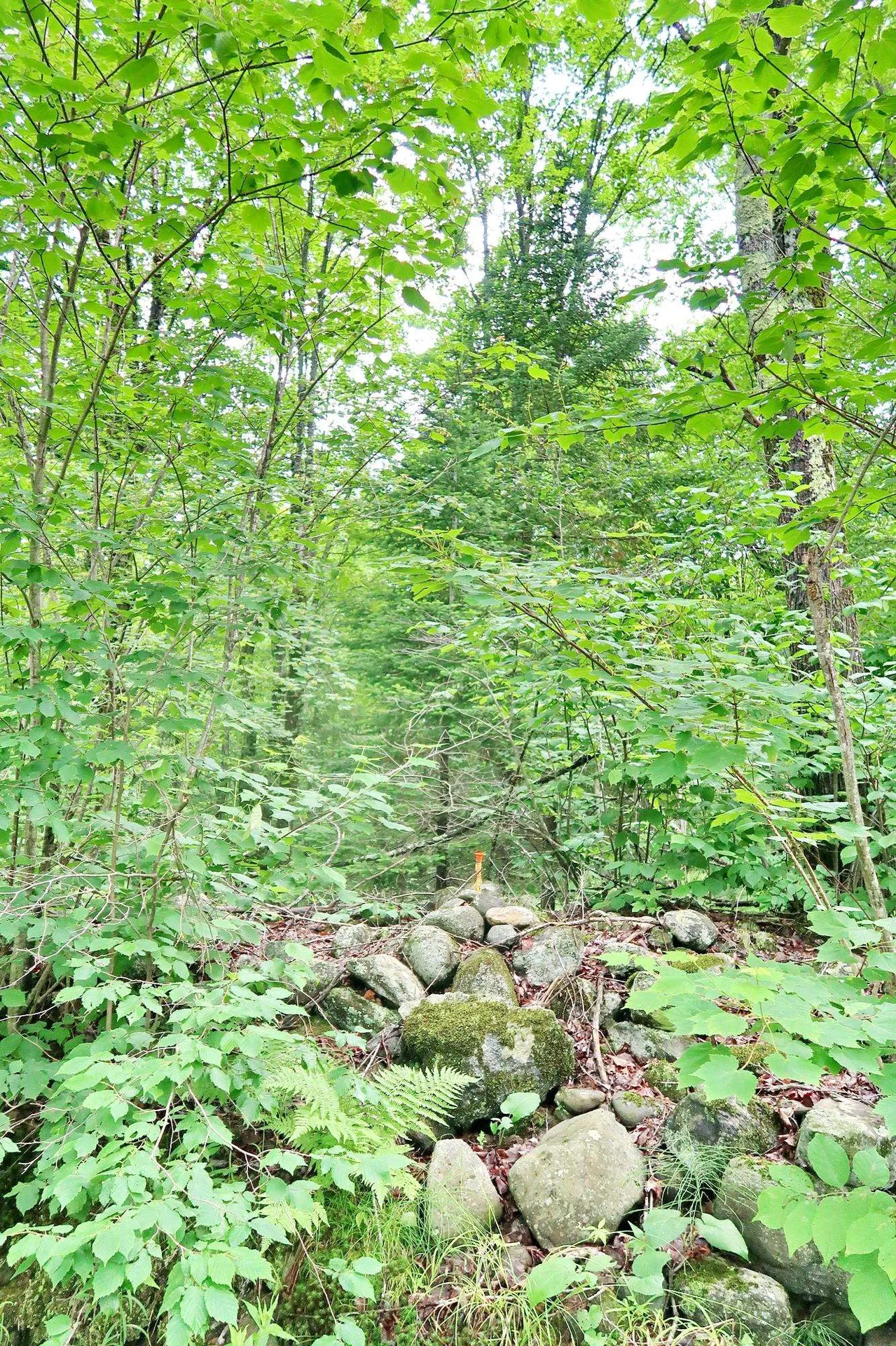 Tbd Easton Road Sugar Hill NH 03586