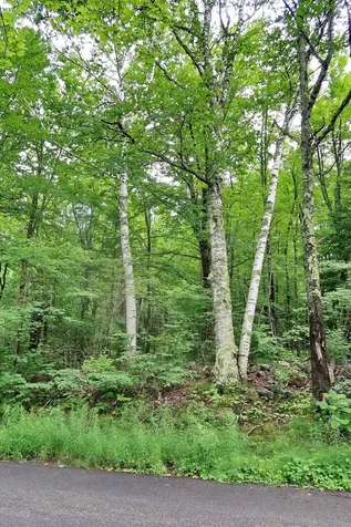 Tbd Easton Road Sugar Hill NH 03586