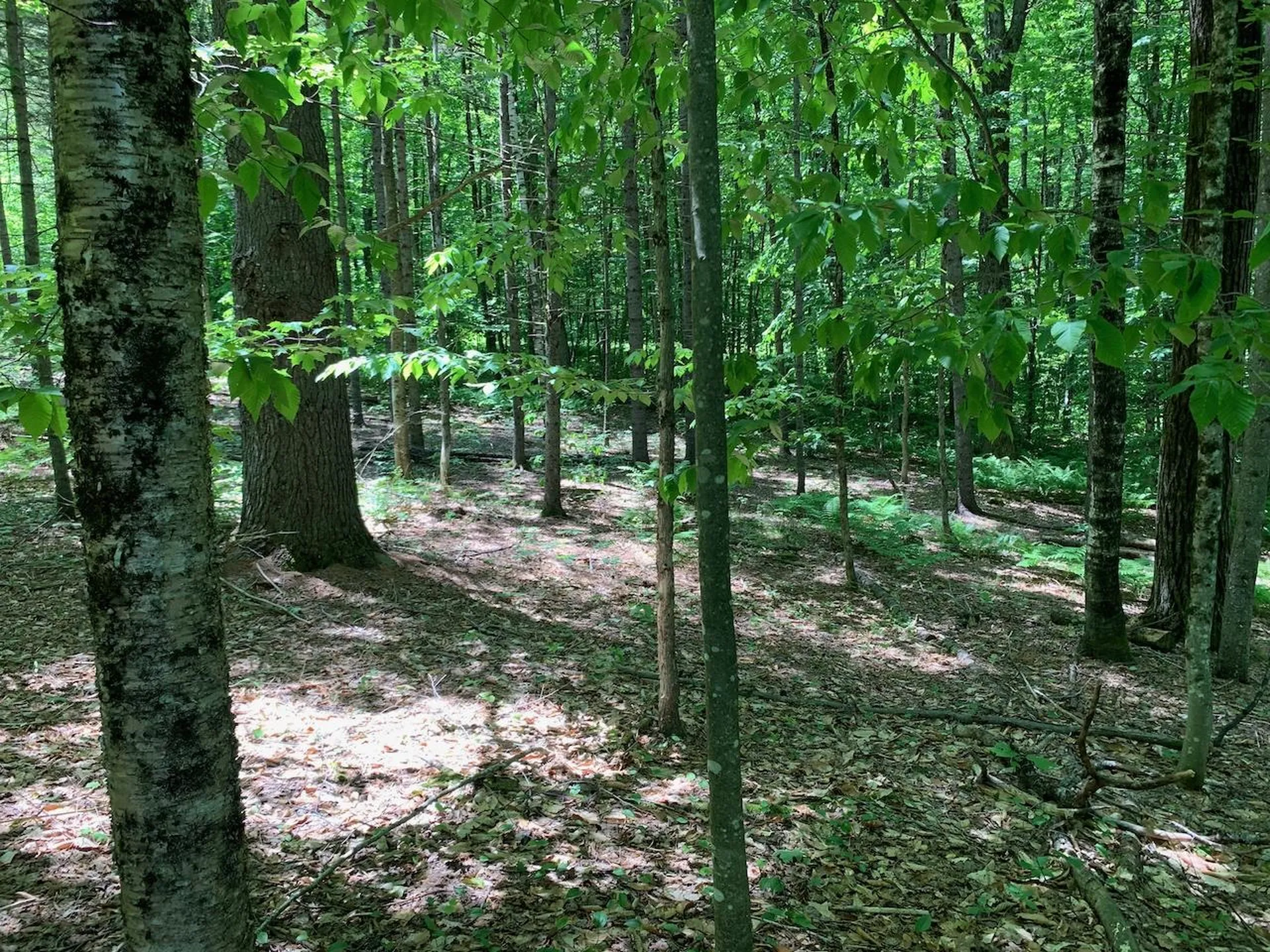 0 Eastman Road Barnard VT 05031