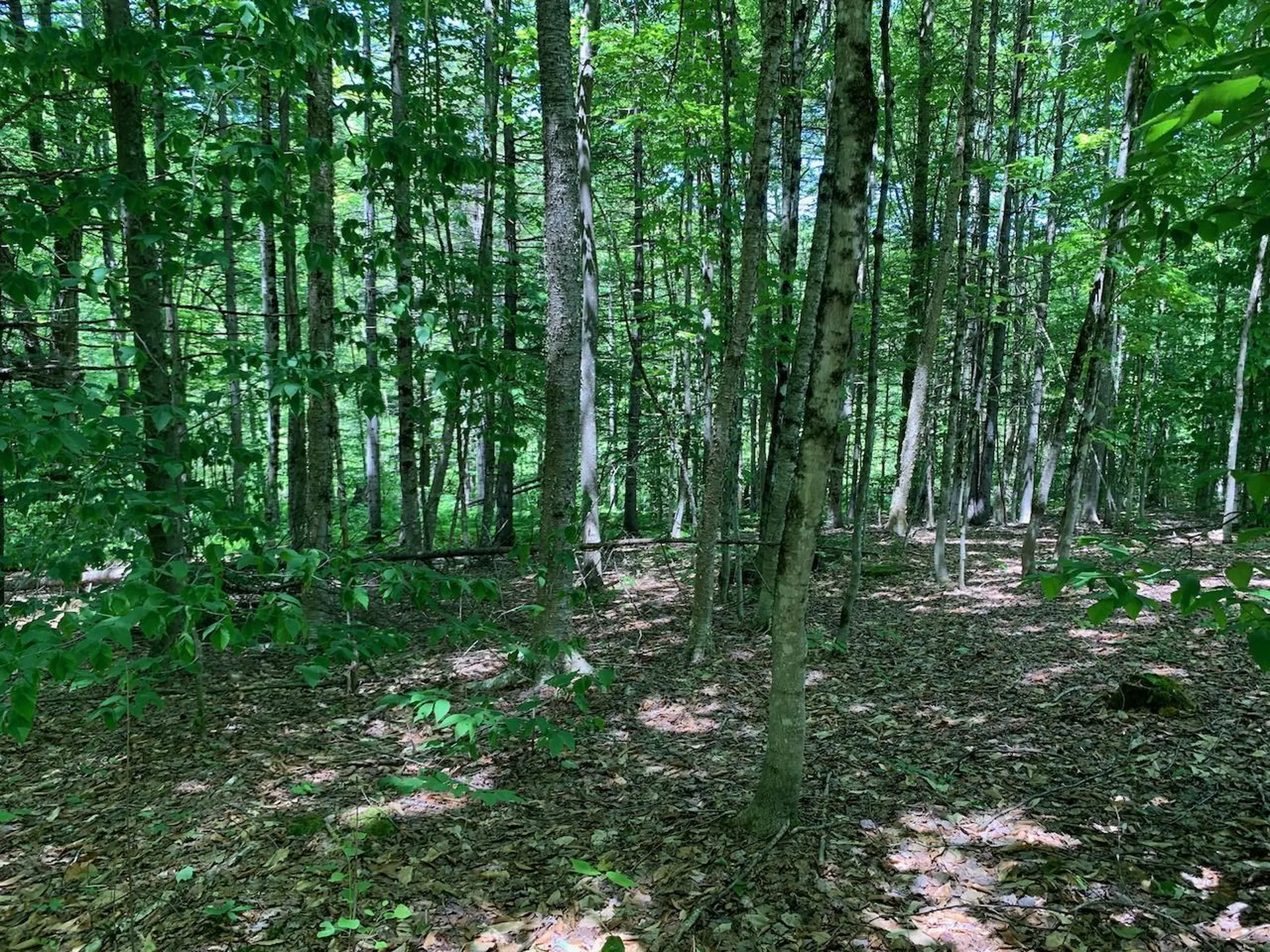 0 Eastman Road Barnard VT 05031