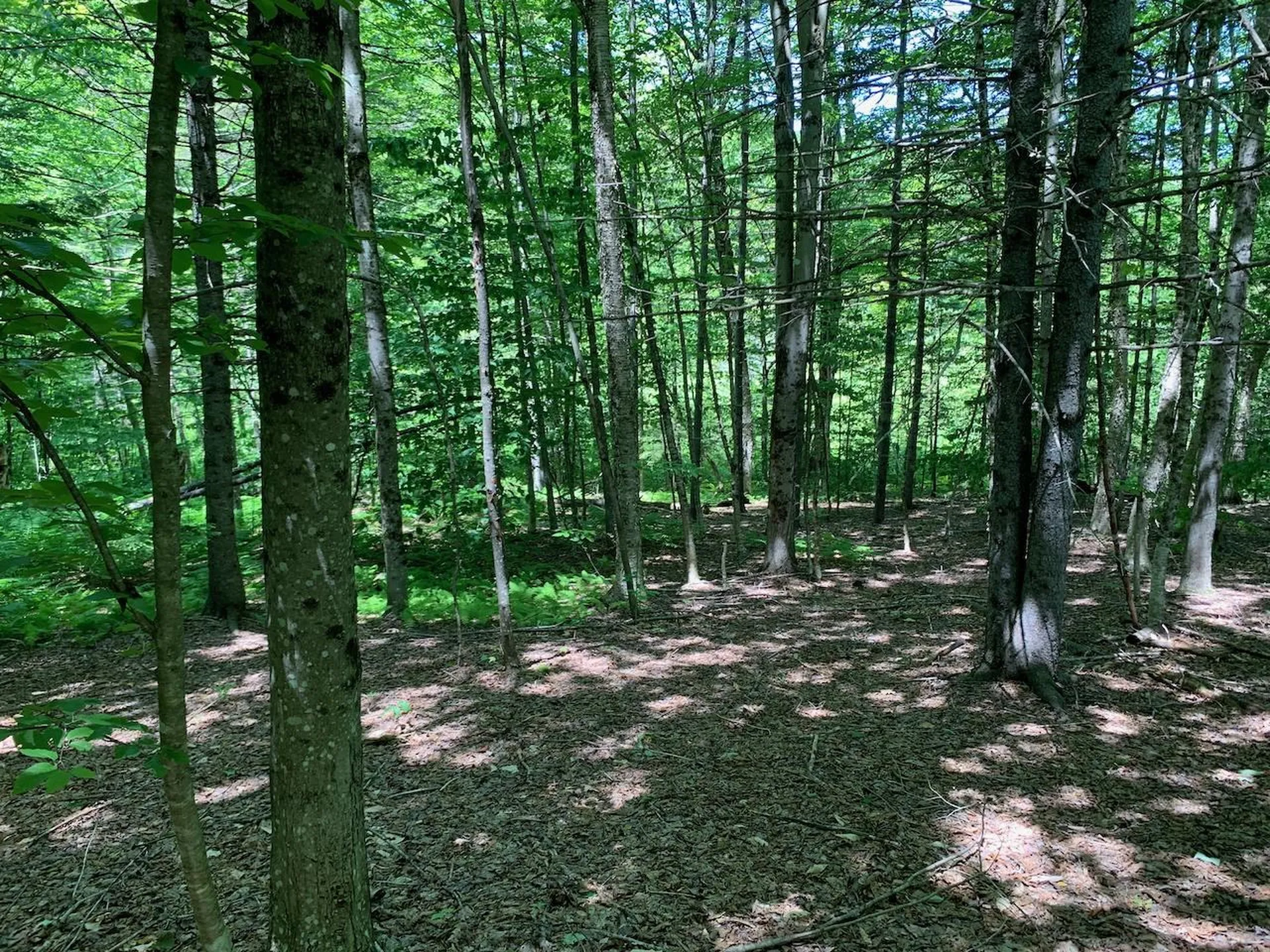0 Eastman Road Barnard VT 05031
