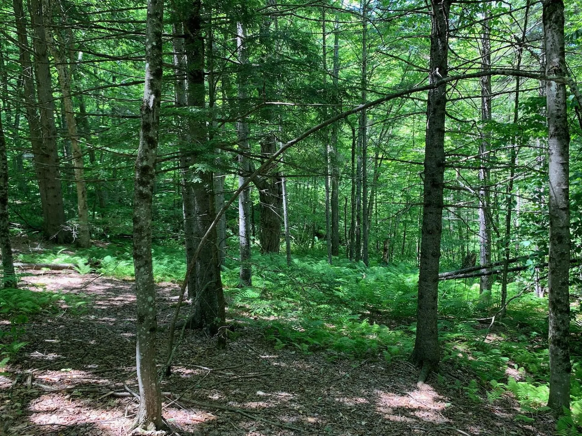 0 Eastman Road Barnard VT 05031
