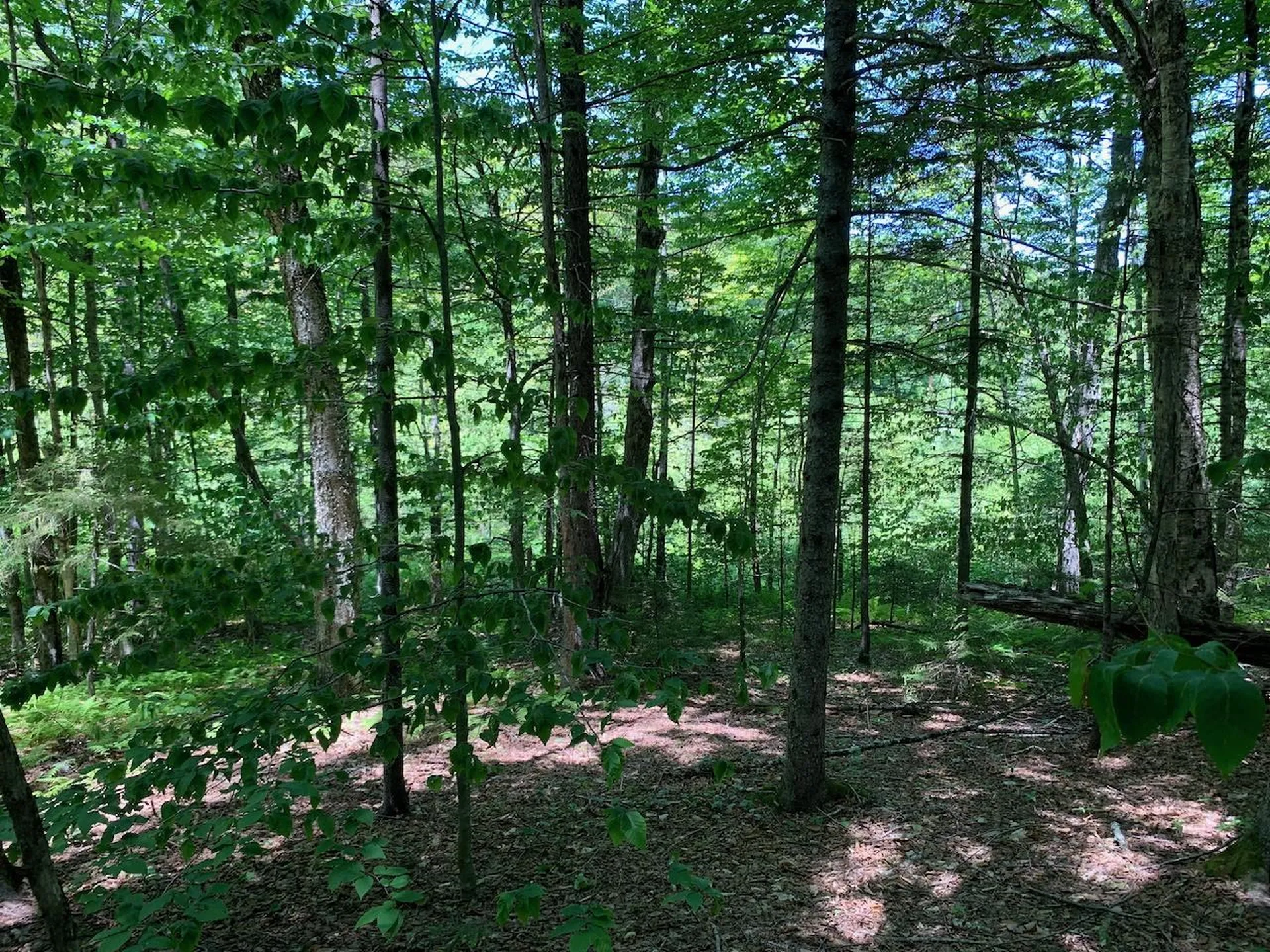 0 Eastman Road Barnard VT 05031