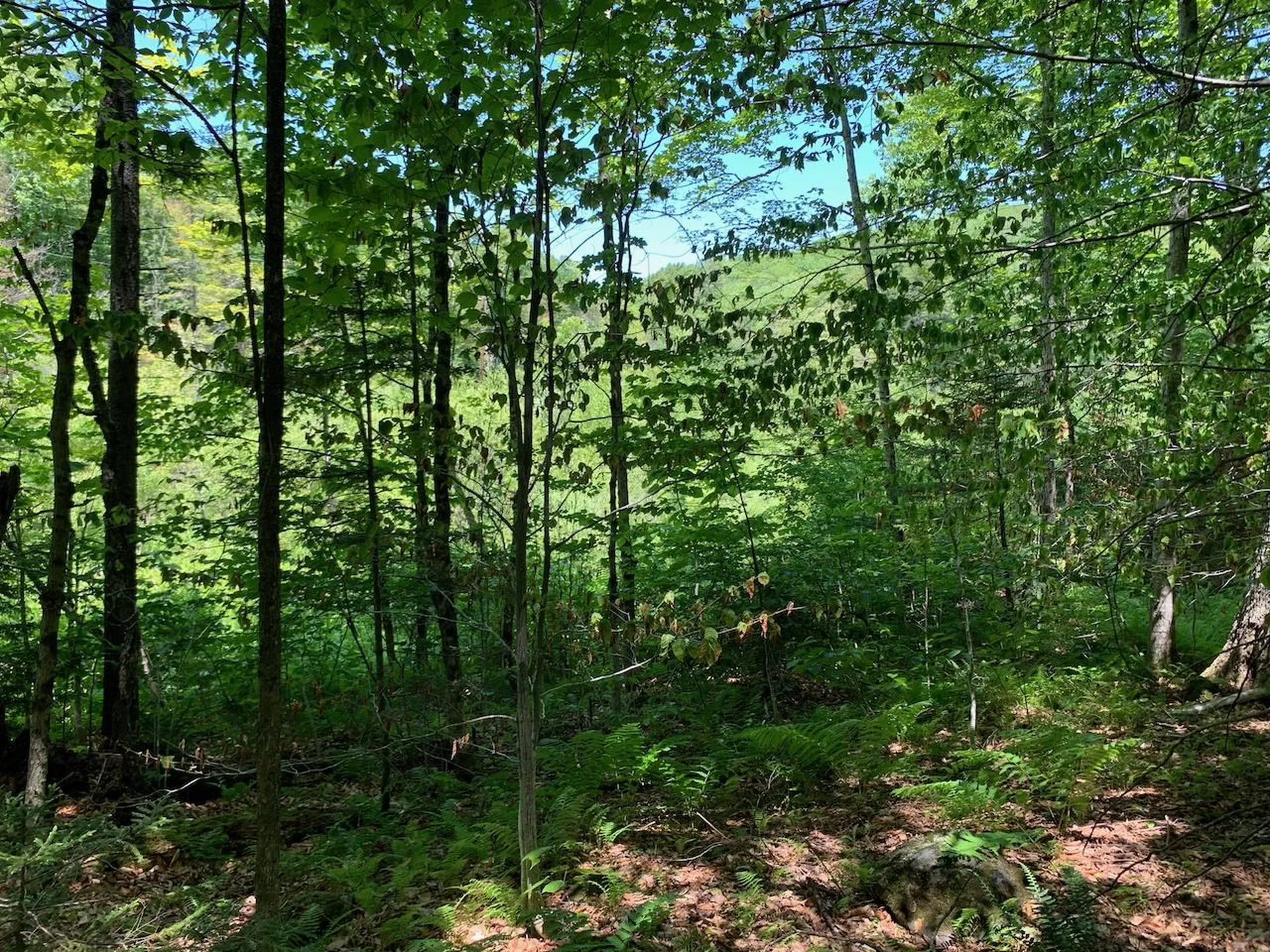 0 Eastman Road Barnard VT 05031