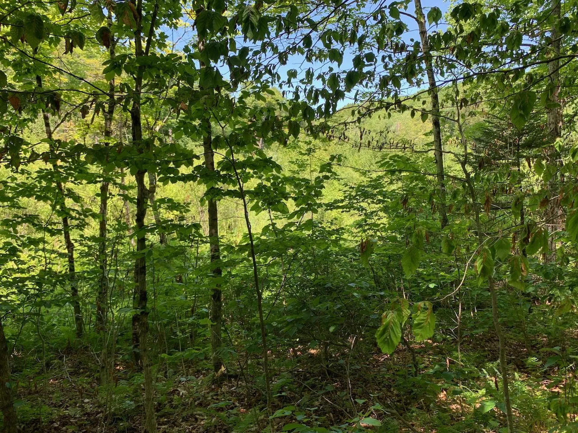 0 Eastman Road Barnard VT 05031