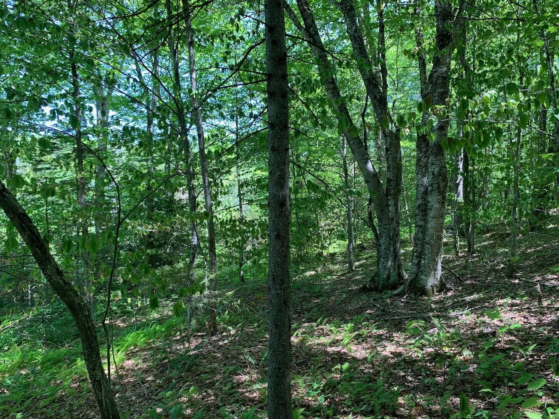 0 Eastman Road Barnard VT 05031