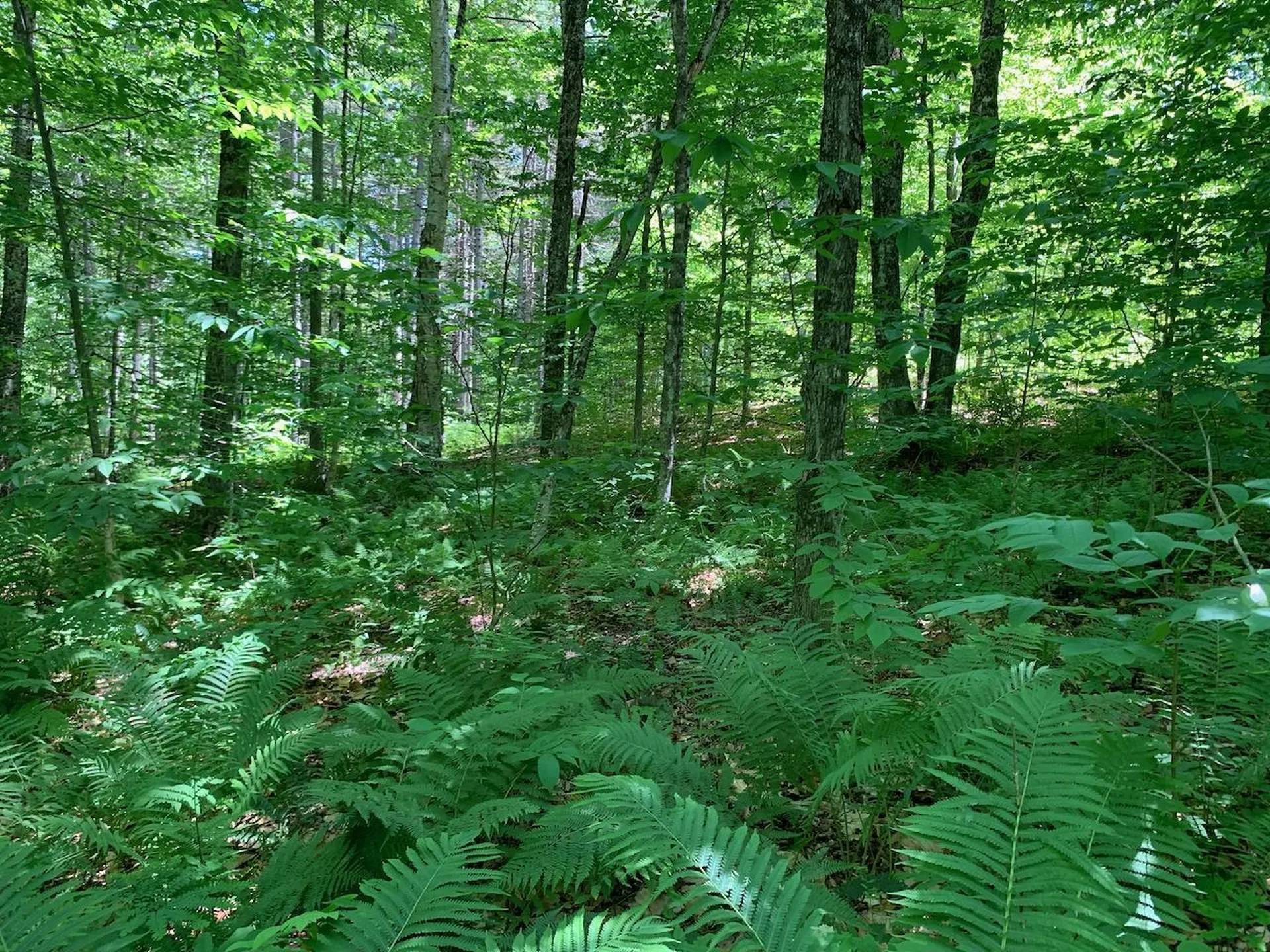 0 Eastman Road Barnard VT 05031