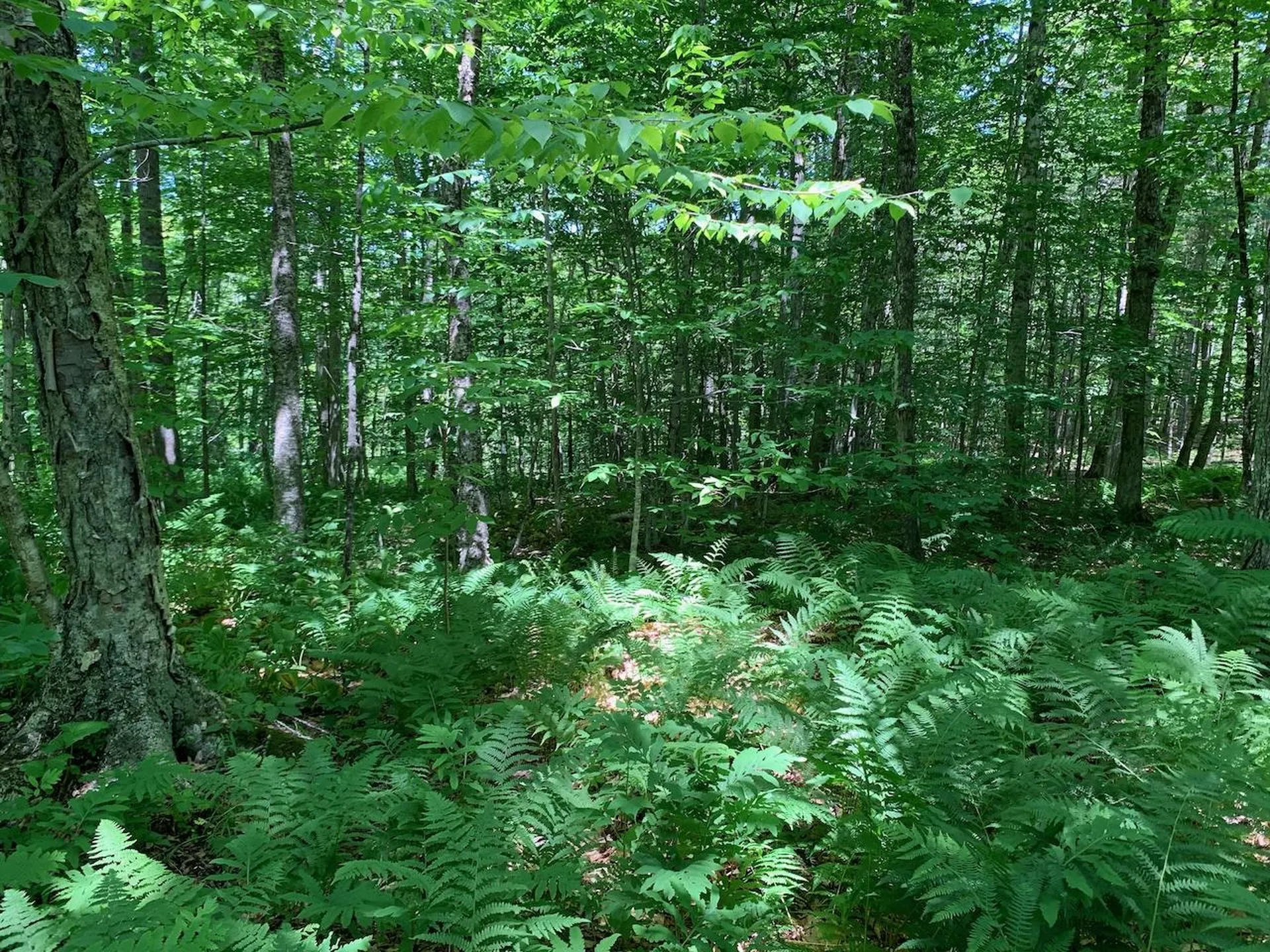 0 Eastman Road Barnard VT 05031
