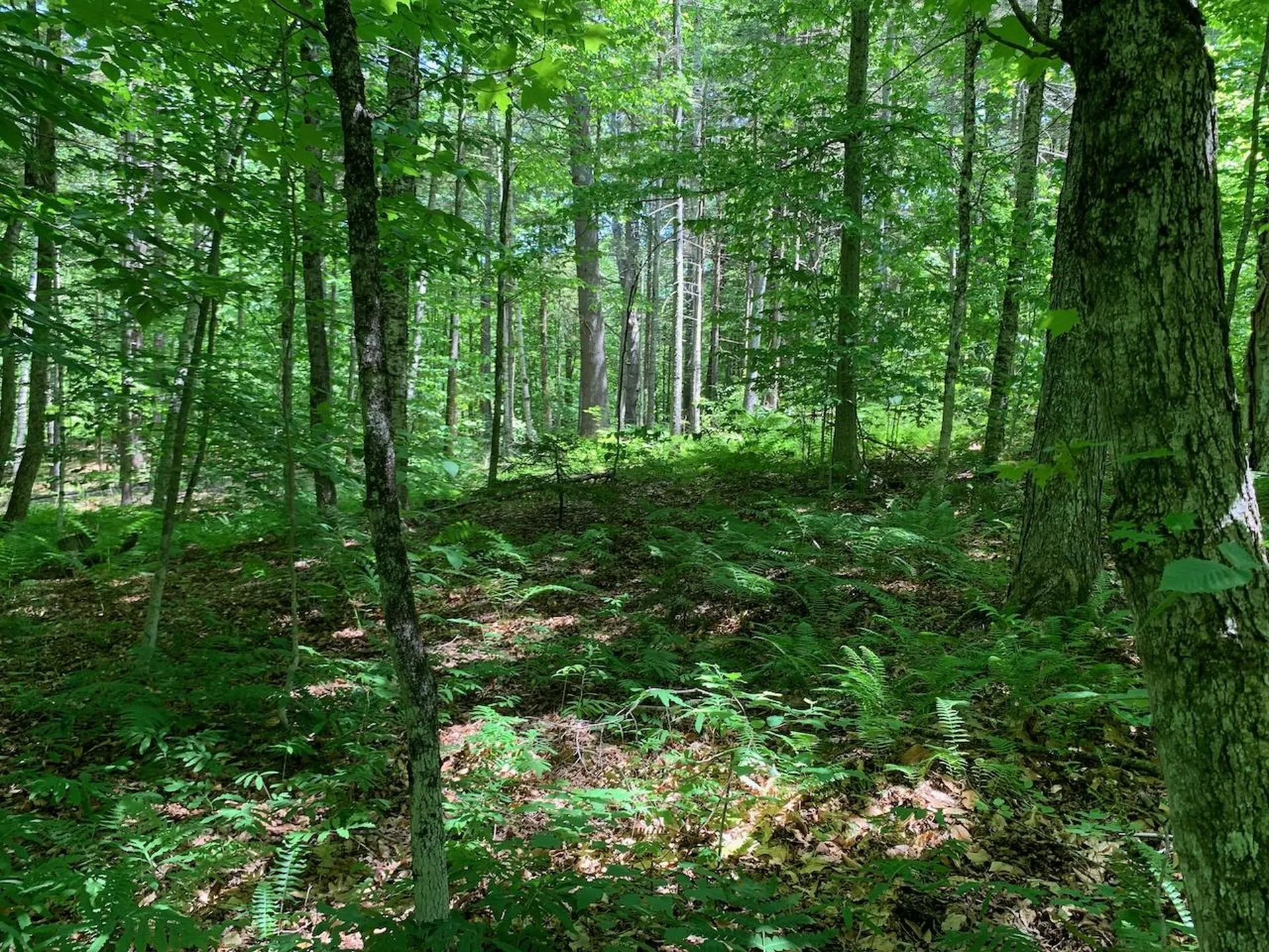 0 Eastman Road Barnard VT 05031