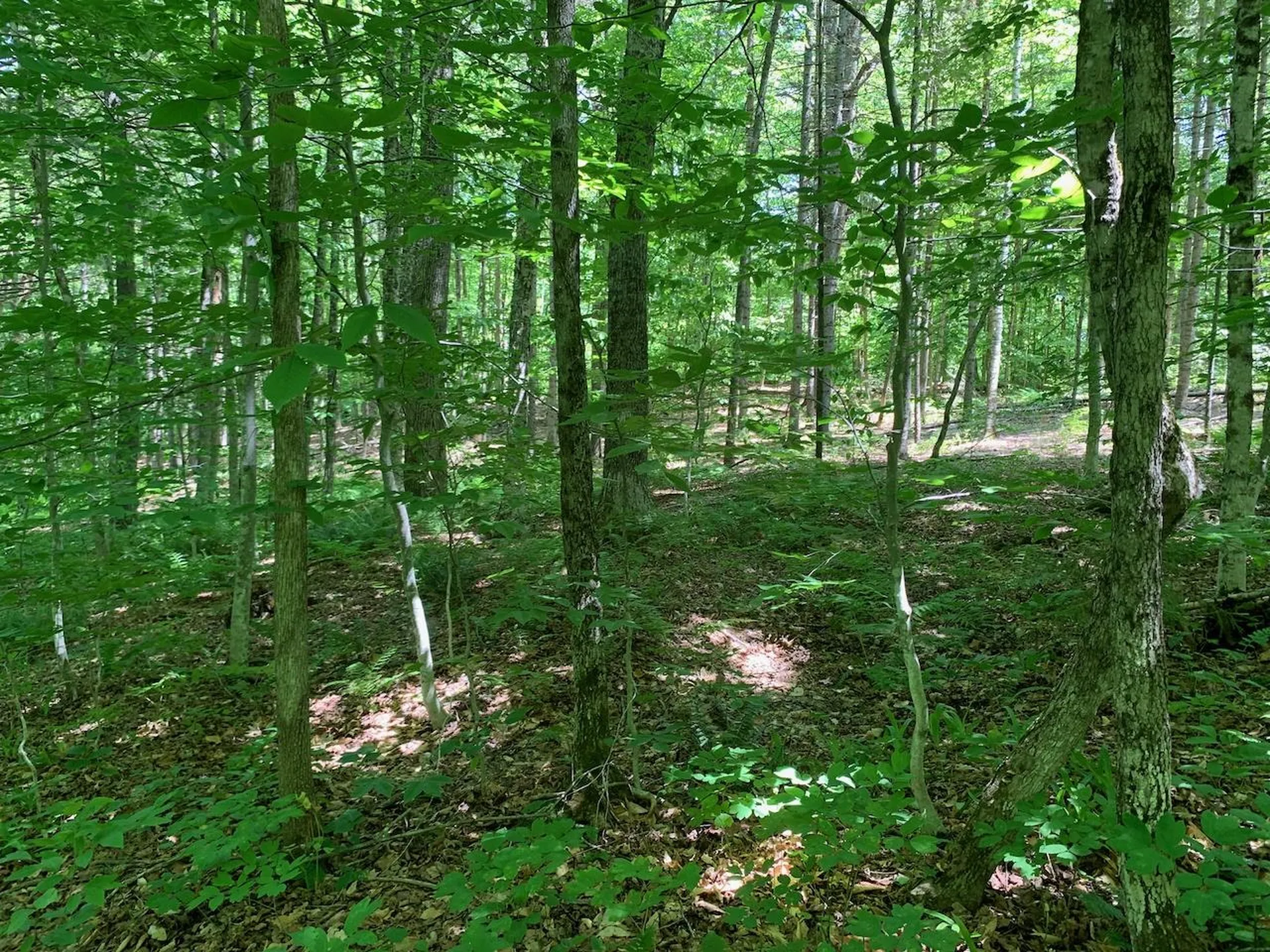 0 Eastman Road Barnard VT 05031