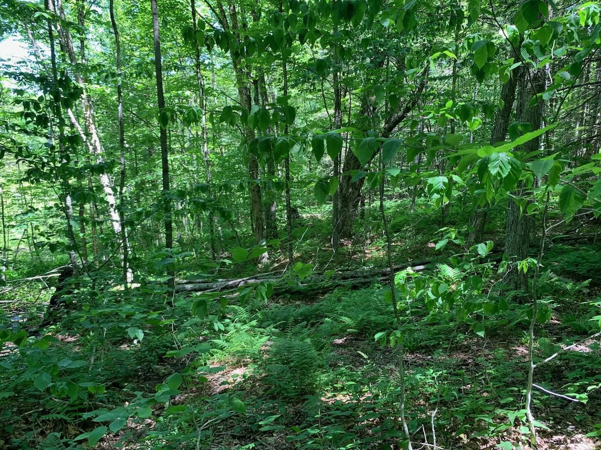 0 Eastman Road Barnard VT 05031