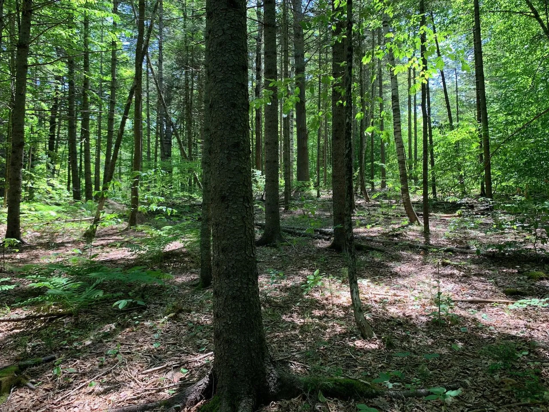 0 Eastman Road Barnard VT 05031