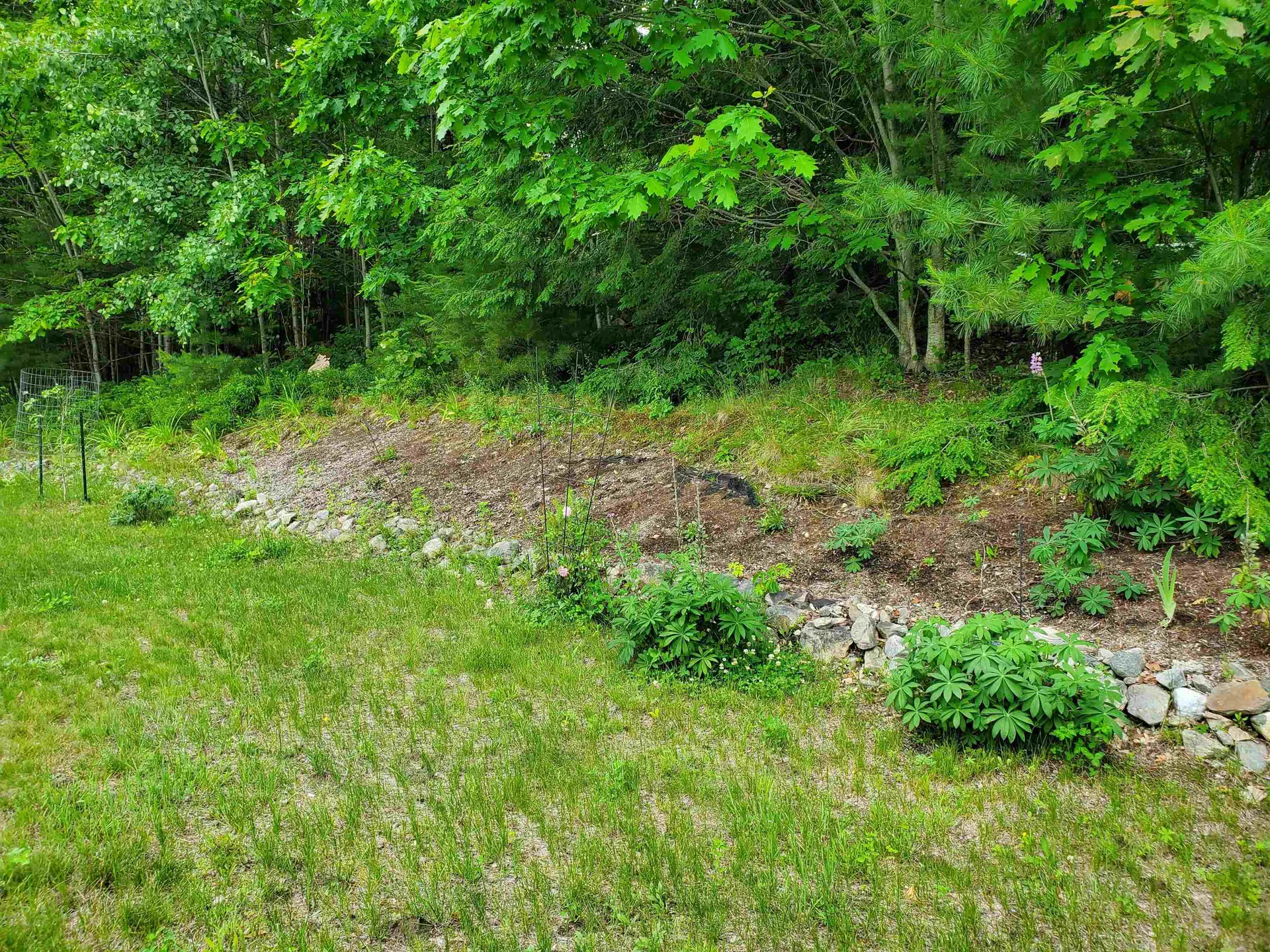 5 Hemlock Lane Canaan NH 03741