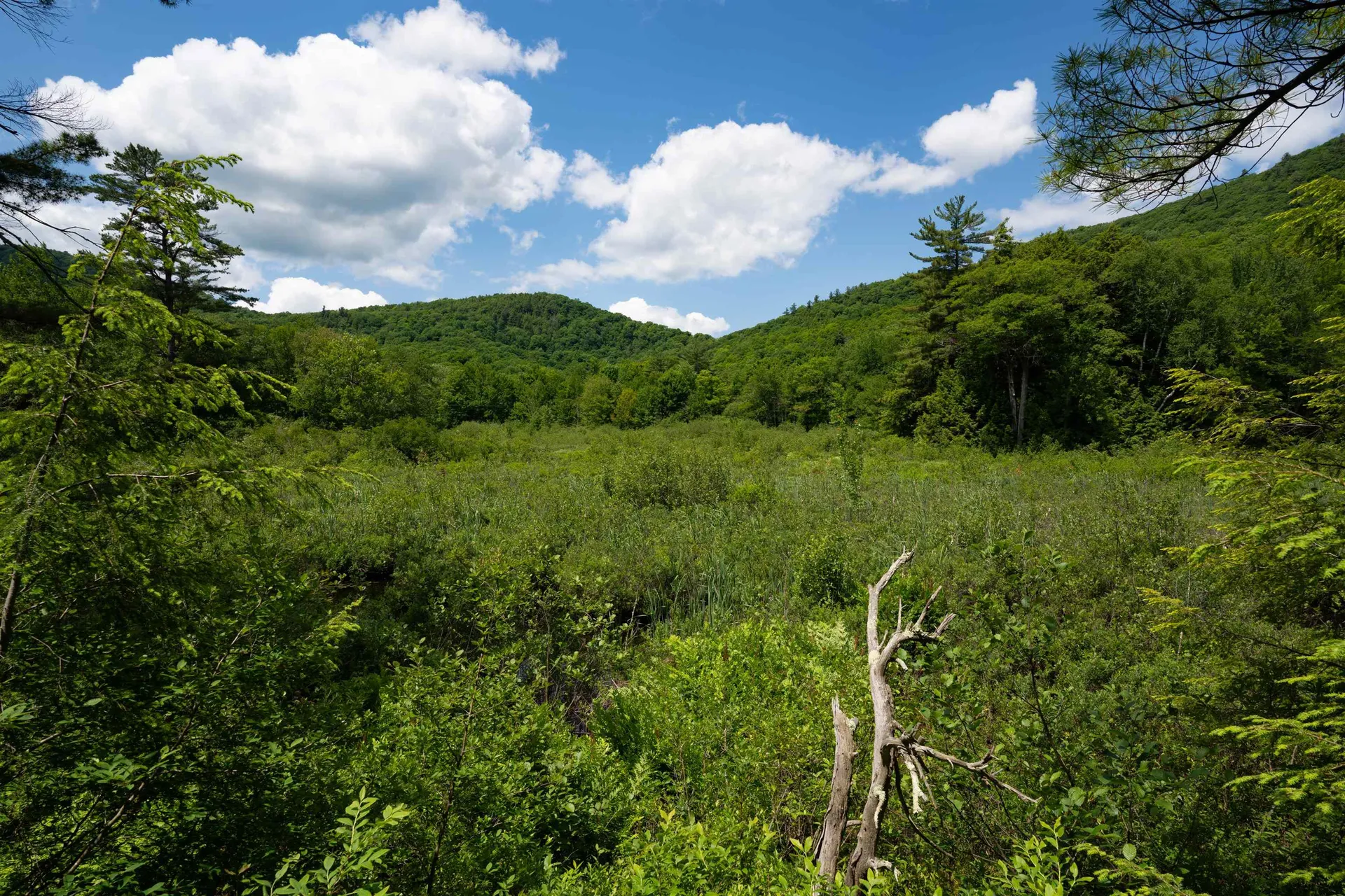 1362 Taylor Road Fletcher VT 05444