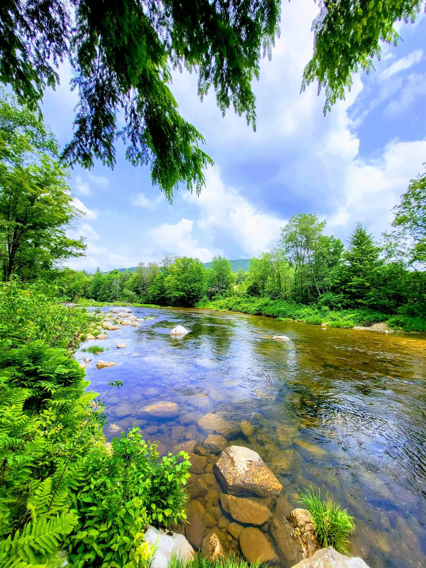 155 Mountain View Road Carroll NH 03598