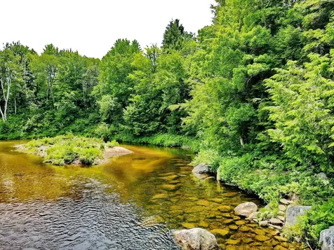 155 Mountain View Road Carroll NH 03598