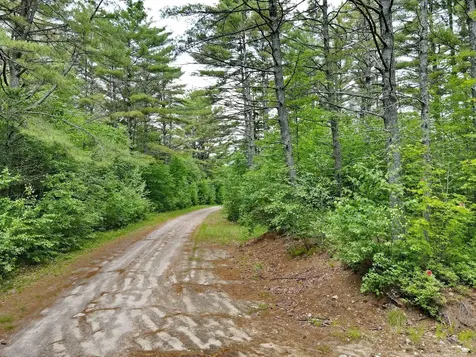155 Mountain View Road Carroll NH 03598