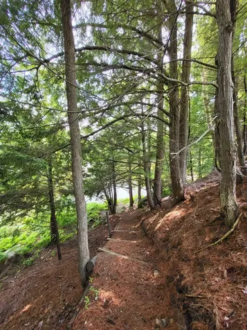 155 Mountain View Road Carroll NH 03598