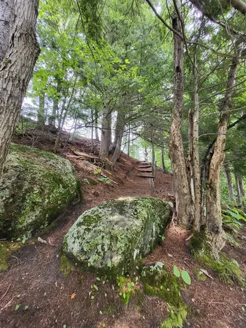 155 Mountain View Road Carroll NH 03598