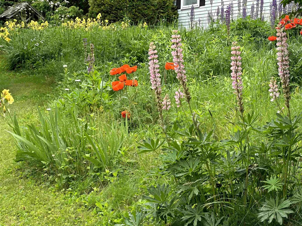 174 Brownsville Road Hartland VT 05048