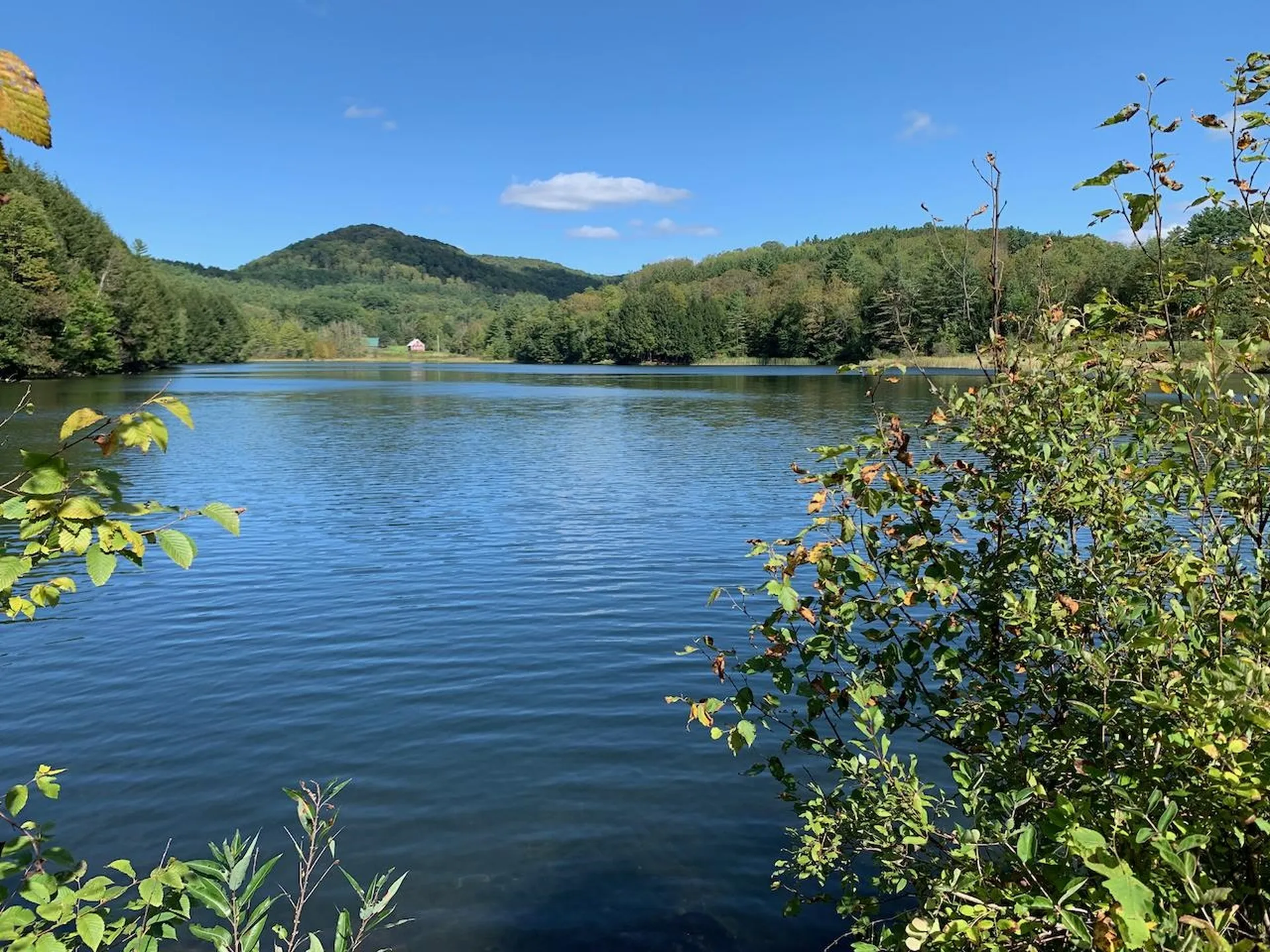 1379 Dairy Hill Road Royalton VT 05068