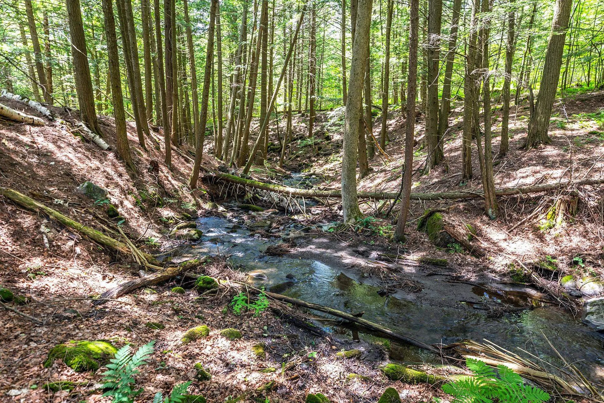 1379 Dairy Hill Road Royalton VT 05068
