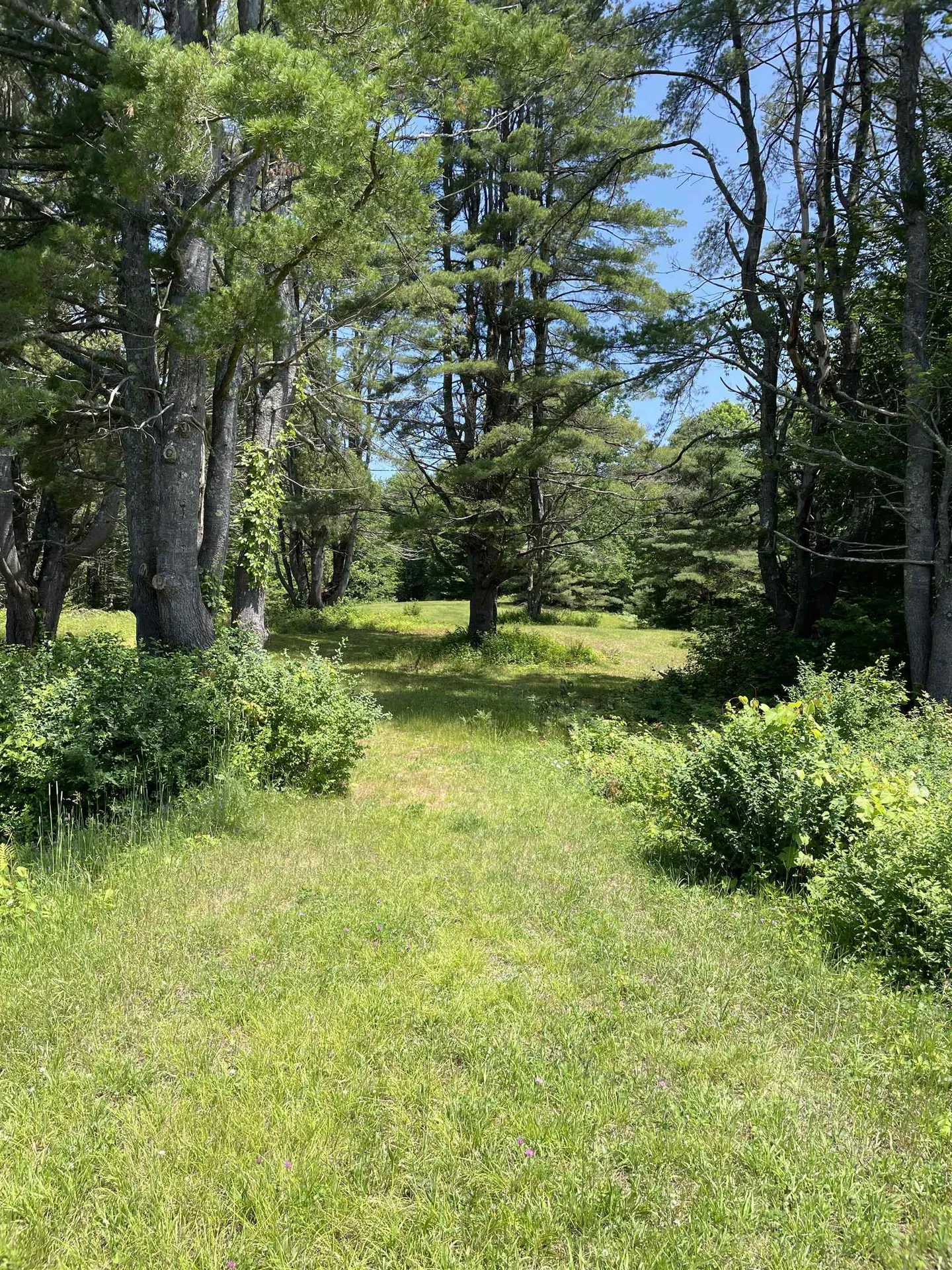 0 Westgate Road West Windsor VT 05037