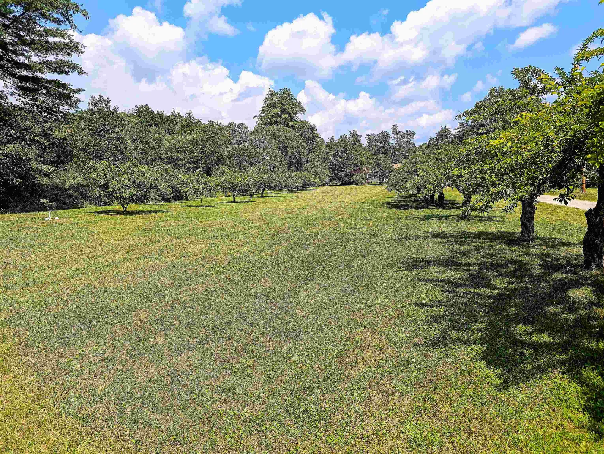 28 Peach Blossom Drive Lyndeborough NH 03082