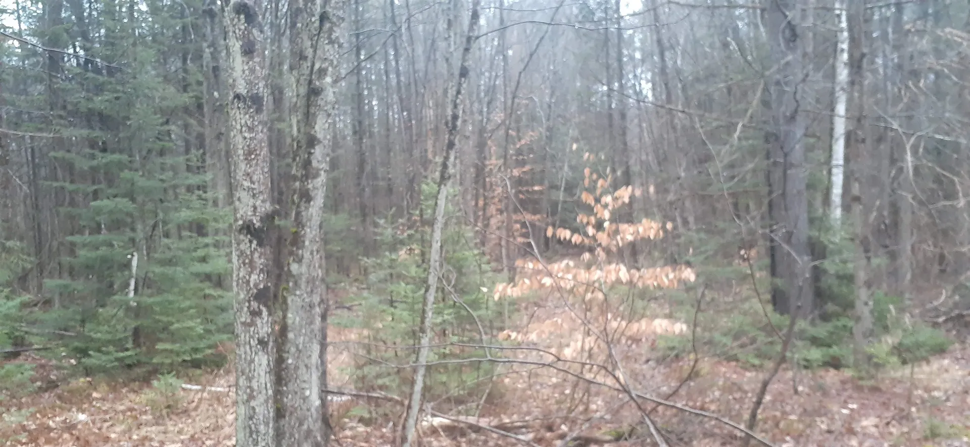 0 Allen Road Lempster NH 03605