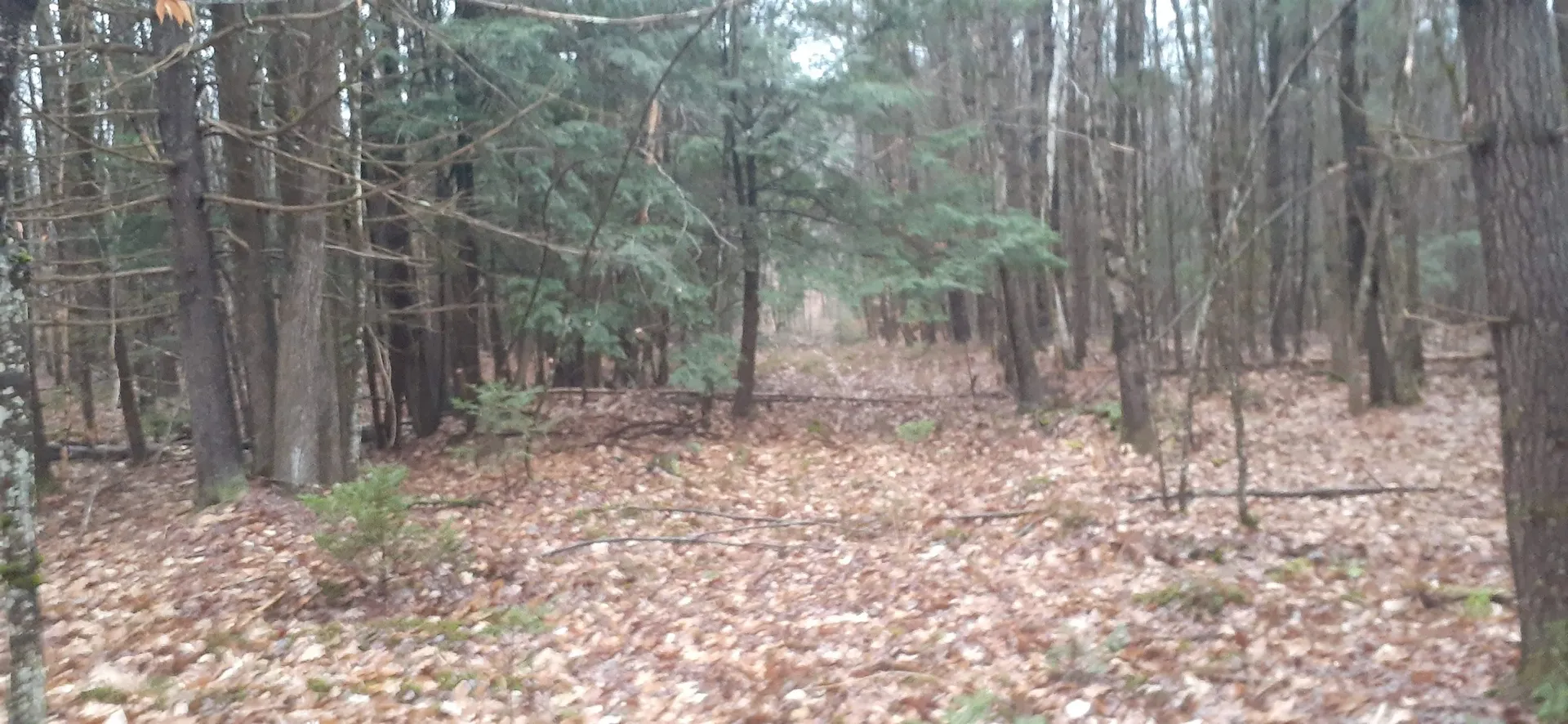 0 Allen Road Lempster NH 03605