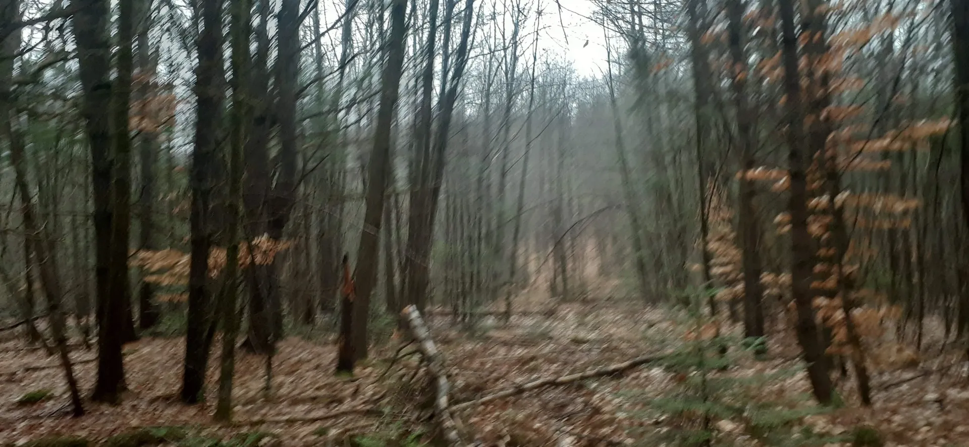 0 Allen Road Lempster NH 03605