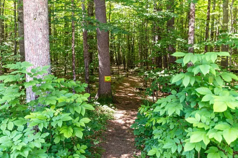 22 Sandtrap Loop Bartlett NH 03812