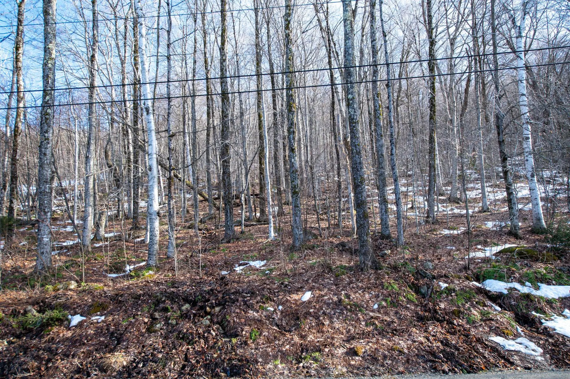 69 Benson Fuller Road Winhall VT 05340