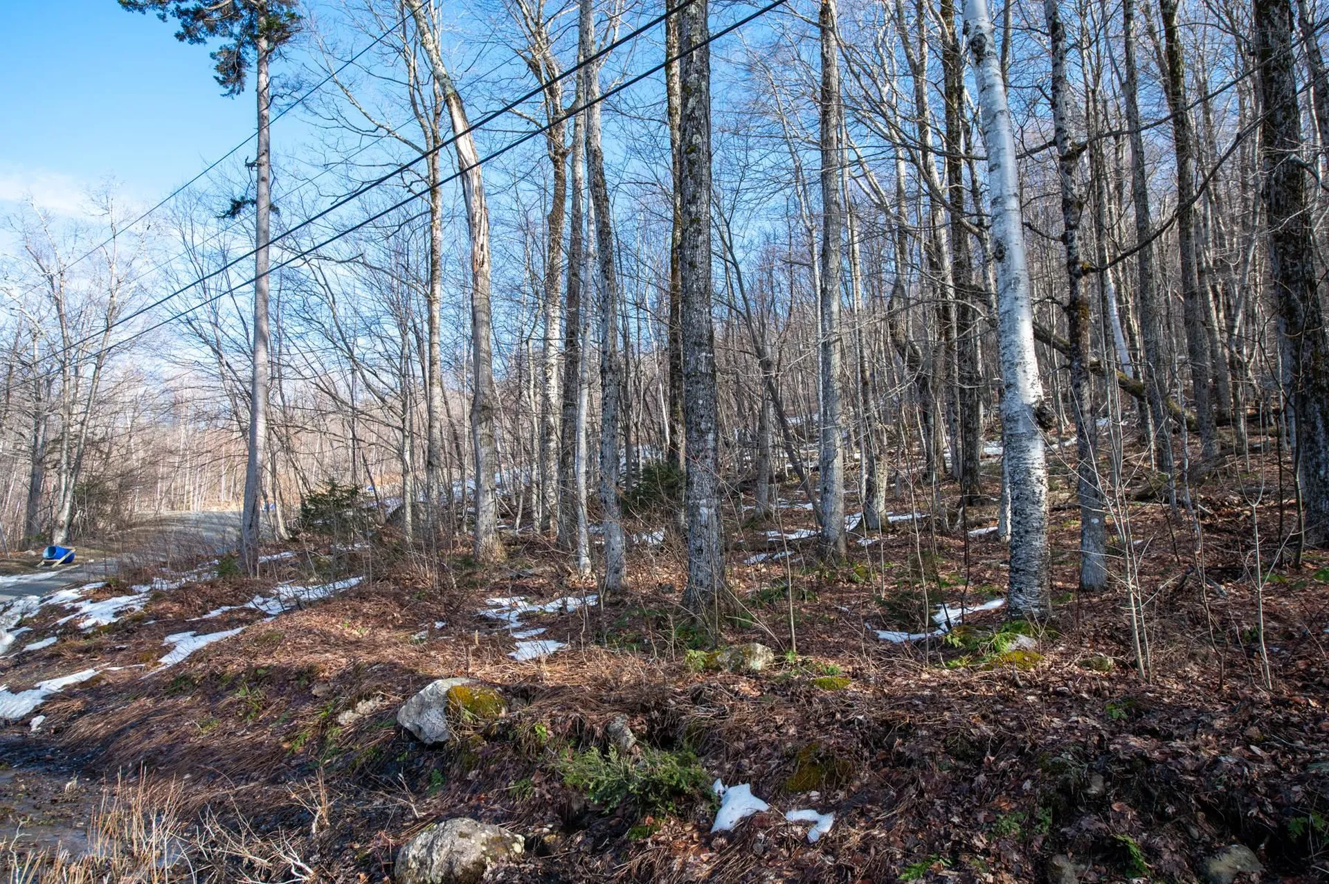 69 Benson Fuller Road Winhall VT 05340