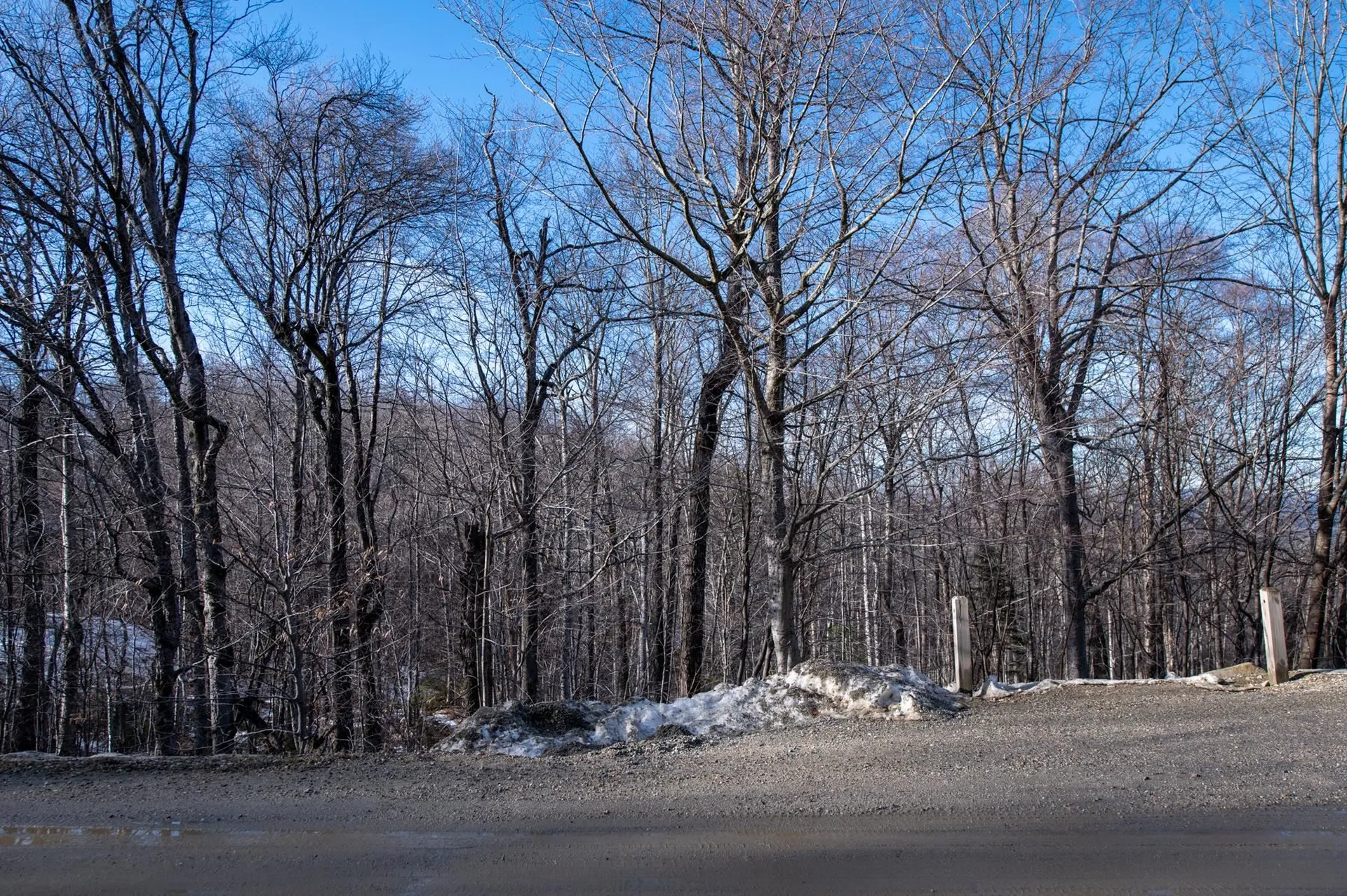 69 Benson Fuller Road Winhall VT 05340