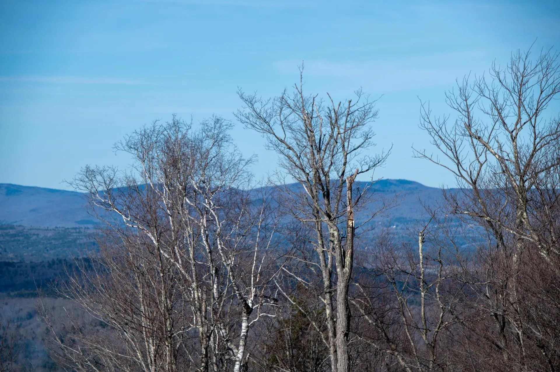 69 Benson Fuller Road Winhall VT 05340