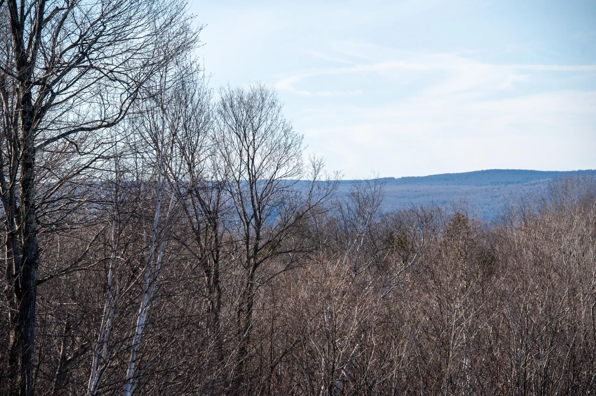 69 Benson Fuller Road Winhall VT 05340