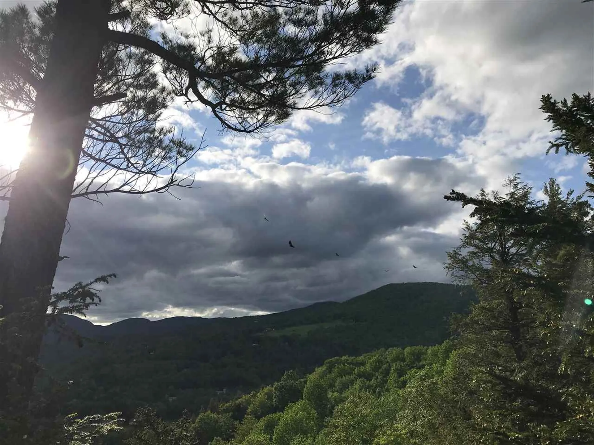 10 Hastings Road Waitsfield VT 05673