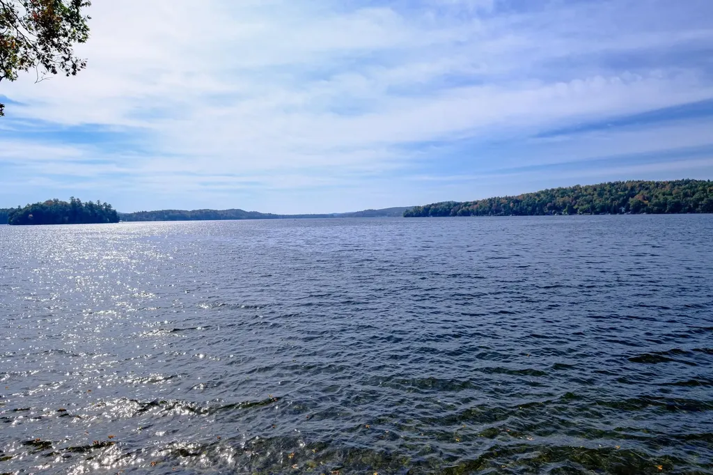 993 Cedar Mountain Road Castleton VT 05735