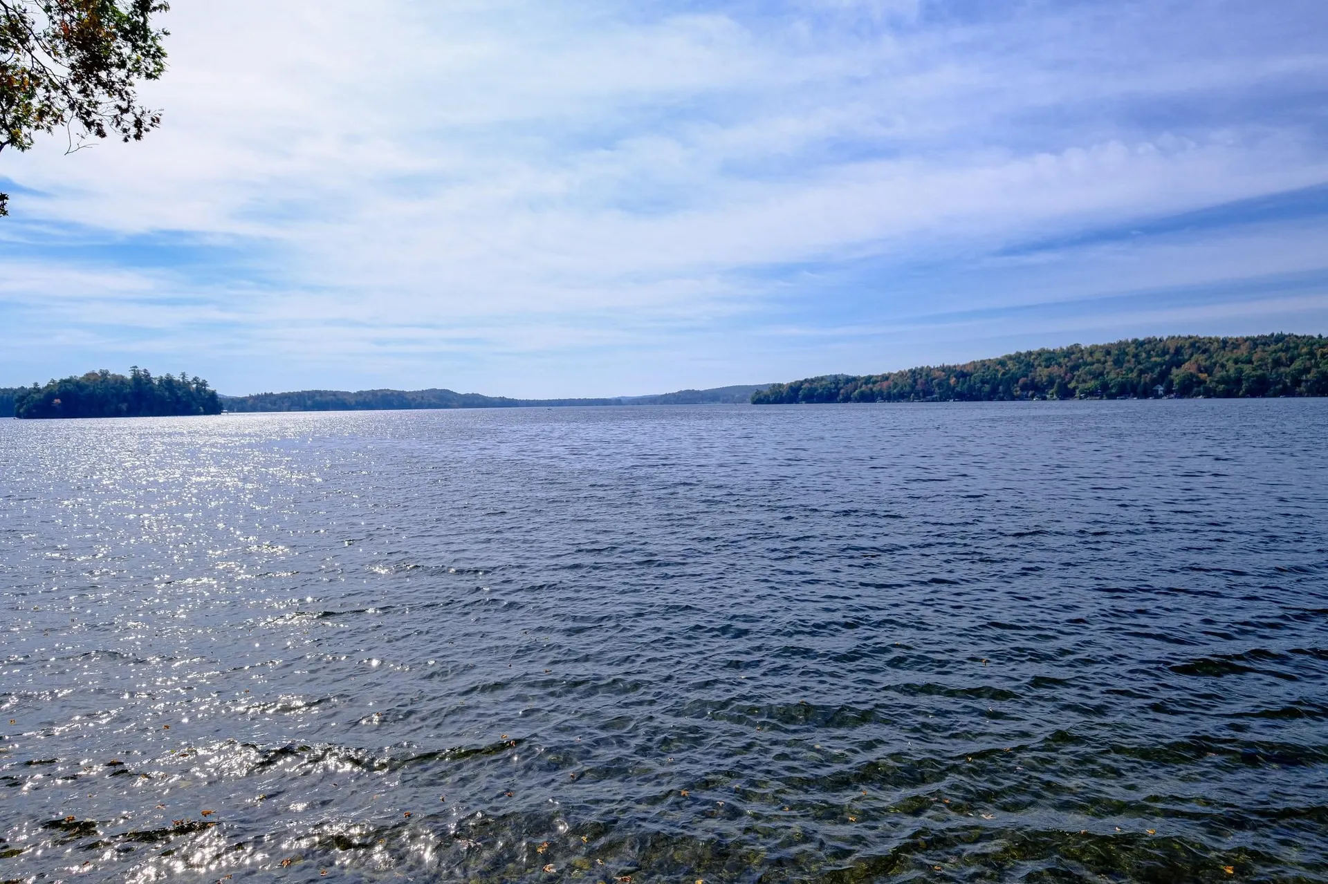 993 Cedar Mountain Road Castleton VT 05735