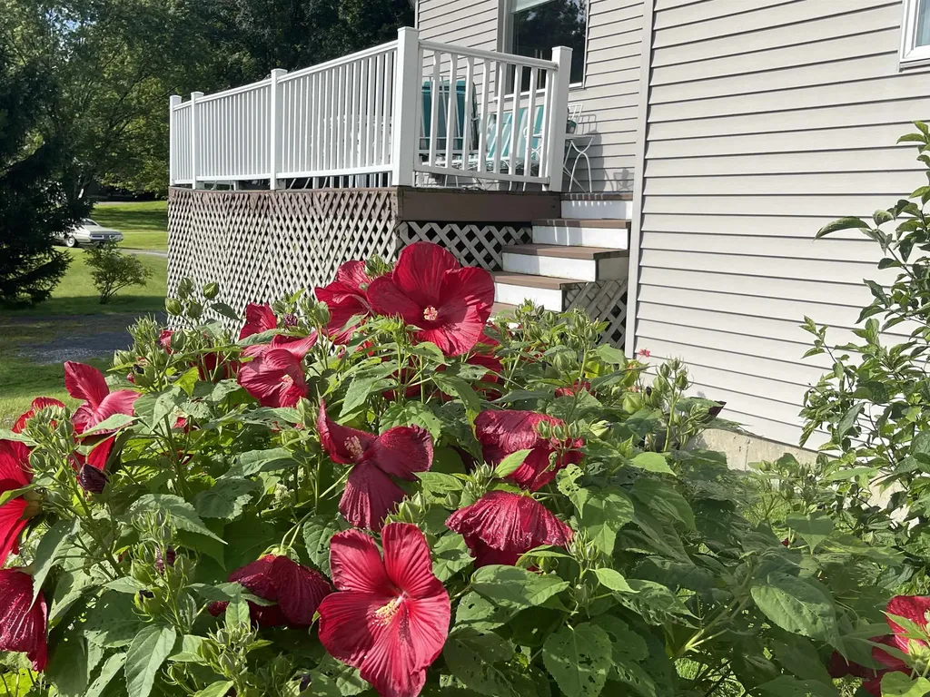 54 Nicks Run Hinesburg VT 05461