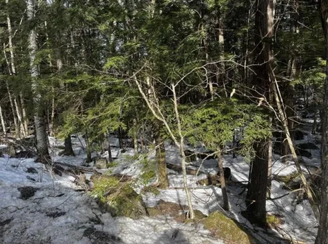 147 Pine Glen Road Hillsborough NH 03244