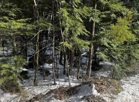 147 Pine Glen Road Hillsborough NH 03244
