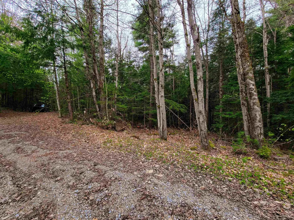 1124 Chapel Hill Road Whitingham VT 05361