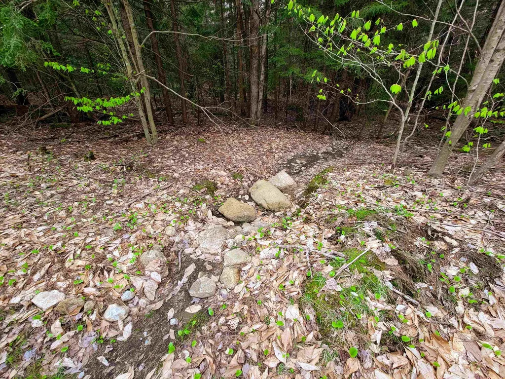 1124 Chapel Hill Road Whitingham VT 05361