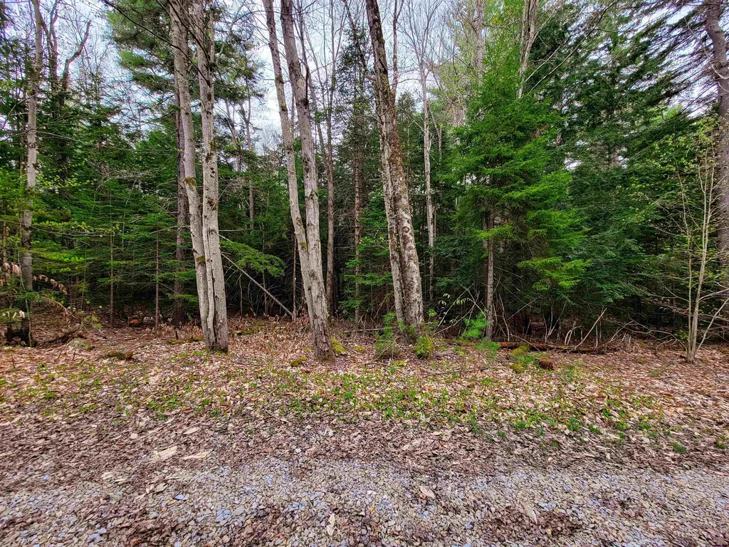 1124 Chapel Hill Road Whitingham VT 05361