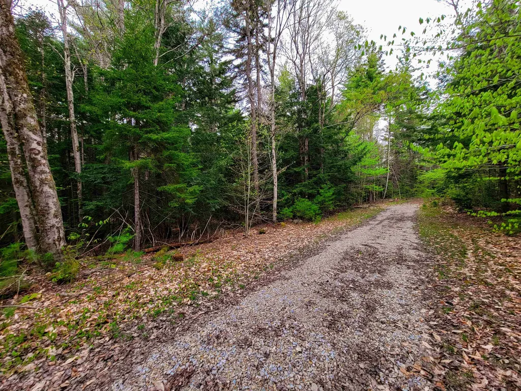1124 Chapel Hill Road Whitingham VT 05361